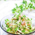 Satoco❋'s cooksnap of when they made 玉ねぎとカイワレのツナサラダ.