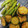 クックZLN3HE☆'s cooksnap of when they made 焼き野菜.