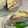 papikun's cooksnap of when they made ホットケーキミックスで簡単ミルクレープ.