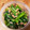 こぐまちゃんの嫁's cooksnap of when they made 小松菜とシーチキンの粒マスタード和え.