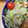 ベビーピグ's cooksnap of when they made きゅうり・もやし・ちくわの簡単ナムル ♪.