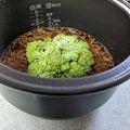 ゆう0515's cooksnap of when they made ロマネスコの炊き込みご飯.