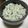 hina0317's cooksnap of when they made 野草を楽しむ～　香りもおいしい蓬ごはん★.