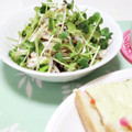 ぱふ♪'s cooksnap of when they made ささみともやし貝割れのゆかりマヨ和え☆.
