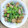 harutaaaam's cooksnap of when they made 菜の花とウインナーのマヨ醤油炒め.