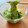Etsu☆ko's cooksnap of when they made 生めかぶでダイエット♪簡単めかぶとろろ.
