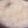 ふぁんころ's cooksnap of when they made お粥.