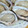 yumelon88's cooksnap of when they made 牡蠣のレンジ蒸し.