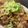 takoyuma's cooksnap of when they made ★簡単★豚こまと蓮根の甘辛ごまだれ炒め.
