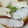 なあたろ♡'s cooksnap of when they made 胃に優しい、たらととうふの蒸しあんかけ.