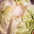 アオミドチ's cooksnap of when they made ２週間後でもパリッパリ♪キャベツの保存法.