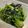 クックSK1RLI☆'s cooksnap of when they made ほうれん草のごま油炒め☆お弁当にも♪.