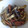 白猫同盟's cooksnap of when they made 超簡単！ひらたけとベーコンのニンニク炒め.