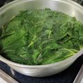 ともこキッチン's cooksnap of when they made ふきの葉のアク抜き.