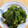 赤蜻蛉's cooksnap of when they made 新鮮!生わかめの下茹で.