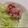 sayaendo＊'s cooksnap of when they made お弁当の隙間埋めに♪ハムのお花♡.
