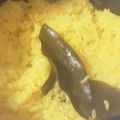 ふぁんころ's cooksnap of when they made カレー料理に！炊飯器でターメリックライス.