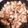 ♬あじさいのレシピ♬'s cooksnap of when they made 食材の水分で仕上げる★すき焼きのたれ。.
