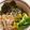 さちぶた♪'s cooksnap of when they made 胡麻好きの♪アボカドしらす丼.