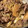 クックAJHISA☆'s cooksnap of when they made 牛肉としらたきのしぐれ煮.