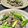 かなぽん☆☆'s cooksnap of when they made 豚肉とアスパラの粒マスタード炒め.