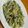 maezuchu's cooksnap of when they made ホタルイカとアボガドのサラダ.
