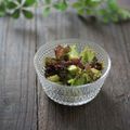 まろんかふぇ's cooksnap of when they made アボカドとレタスのチョレギサラダ.