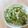 かしゅかしゅん's cooksnap of when they made 水菜と生ハムのサラダ.
