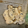 さすらい's cooksnap of when they made 牡蠣をピカピカに洗う方法（下処理）.