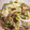 ゴロにゃん♡'s cooksnap of when they made ごまたっぷり＊もやしときゅうりのサラダ.