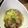 midomega's cooksnap of when they made キャベツとウインナーの洋風ほったらかし煮.
