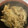 犬飼ってる's cooksnap of when they made 簡単☆しめじとえのきのマヨバター醤油炒め.