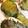クィーンJJJ316's cooksnap of when they made 鶏ささみの梅しそ焼き.