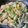 逸ちゃんママ's cooksnap of when they made 鶏むね肉としめじのオイスター炒め.