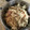Ruriluru's cooksnap of when they made きのことハムの炊き込みご飯.