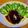 さすらい's cooksnap of when they made 玉ねぎは炒めず混ぜる＊牛挽肉ハンバーグ.