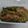 クックZTZ10H☆'s cooksnap of when they made ふきのとう味噌(ふき味噌).