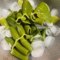 ＷａＴヒロコロ's cooksnap of when they made 生めかぶの食べ方・簡単下処理・保存方法.