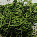 Shosui3's cooksnap of when they made レンジで簡単！豆苗の胡麻和え.