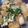 モンブラン's cooksnap of when they made ☆簡単☆厚揚げの甘辛スタミナ炒め.