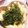 クックKLRAJE☆'s cooksnap of when they made 長芋のわさび漬け.
