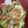 クックQM7AMR☆'s cooksnap of when they made 男飯！ねぎ玉ウインナーチーズ丼.