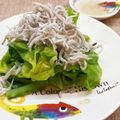 horseland's cooksnap of when they made 美活　春キャベツとしらすカルシウムサラダ.