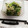 クック8C0Q1Q☆'s cooksnap of when they made 【学校給食】ごま和え.