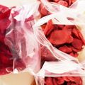 すままむ's cooksnap of when they made 赤紫蘇・梅酢で漬ける…「紅生姜」.