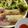 すっとこハム太郎's cooksnap of when they made ●これぞ本場！ベトナム揚げ春巻き●.