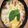 とぅかたろう's cooksnap of when they made フレッシュバジルとトマトのカチョカバロ焼.