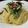 koiko亭's cooksnap of when they made 黄金色明太パスタ.