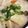 ブランシュkuu's cooksnap of when they made 豚肉で粕汁.