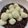 ぱぱぷぅ's cooksnap of when they made 米粉と豆腐の餡だんご.